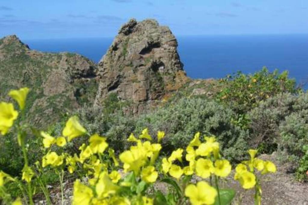 House Rural,Biosphere Reserve World.Taganana.Tfe. Santa Cruz de Tenerife Exterior photo